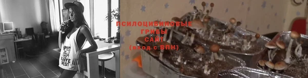 круглые Богданович